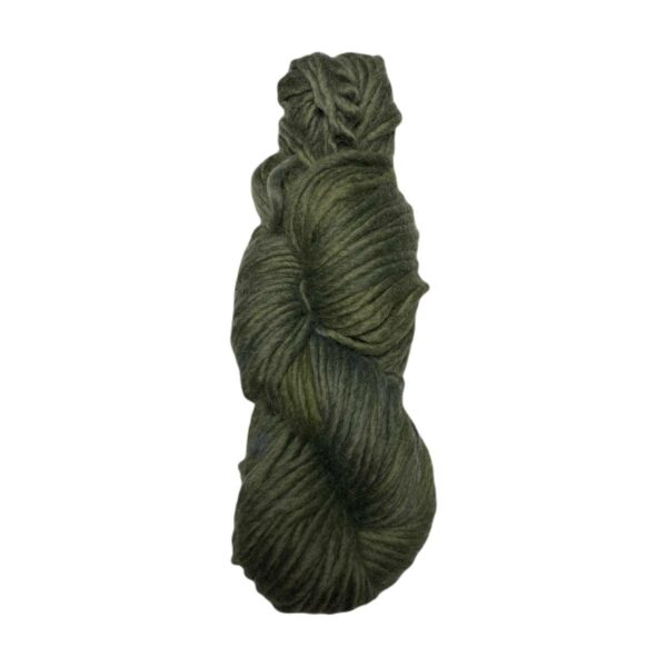 Yarn wool hank rainforest green
